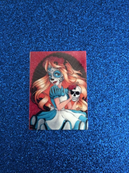 Sugar Skull Alice in Wonderland Set
